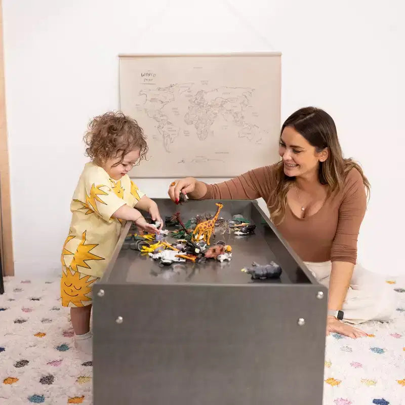 Armoire de rangement de classe double face avec dessus d'activité et miroir